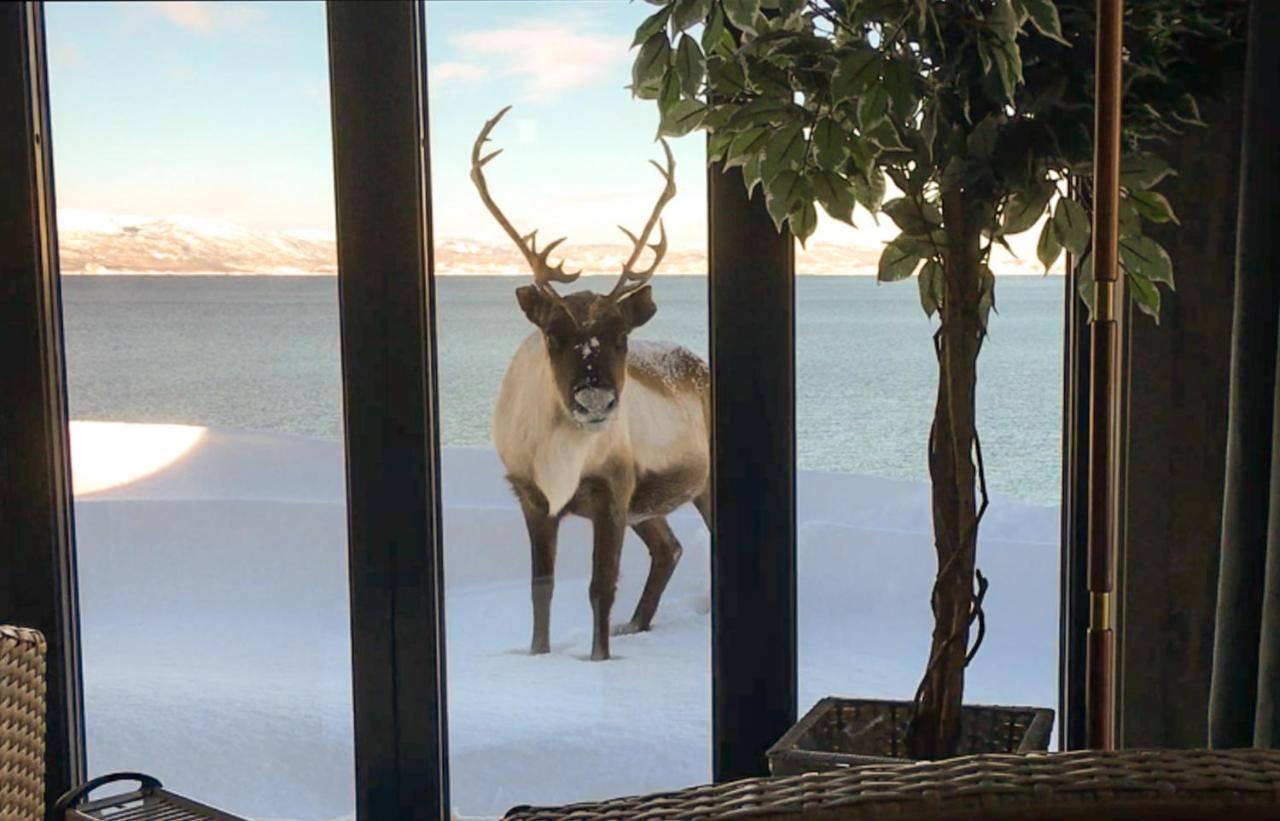 Nice Little House Right By The Sea, Stunning View Rensa エクステリア 写真